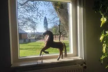 ベッドアンドブレックファースト Horse And Hound