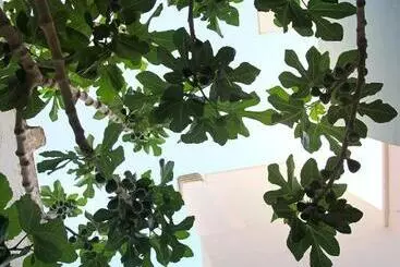 Pensão Vecchia Cantina   Le Camere