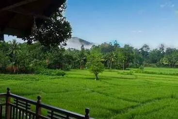 هتل Rainforest Nest