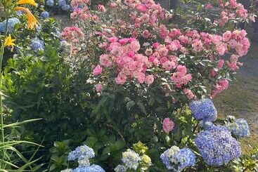 هتل Natural Luxury