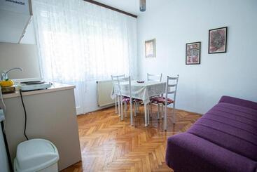 پانسیون Apartmani Didić