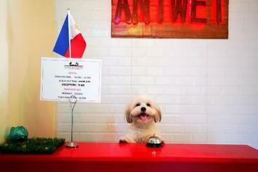 Ostello Antwet Backpacker S Inn & Rooftop Bar