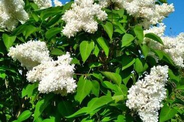 צימר La Voureyline