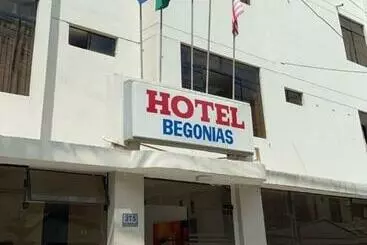 هتل Begonias