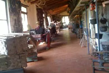 Отель Agriturismo Fattoria Di Castiglionchio