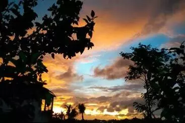 ペンション Medewi Surf And Stay