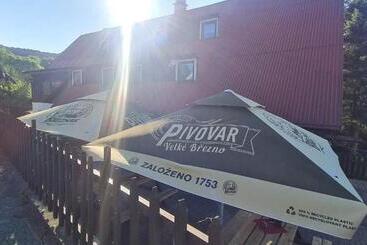 Panzió Penzion Na Staré Cestě