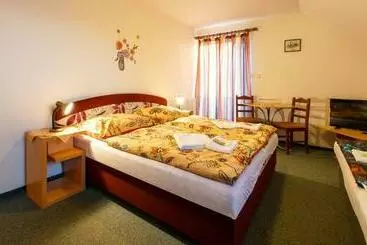 Pension Penzion Dana