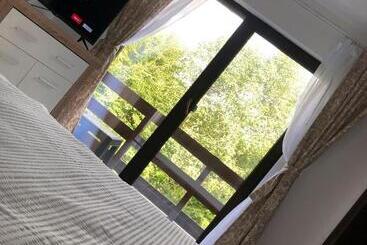 پانسیون Cabana Din Pădure