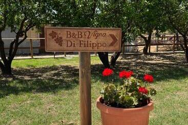 B & B Vigna Di Filippo   Paestum