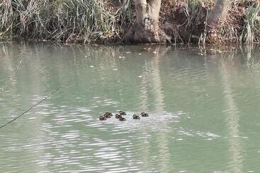 住宿加早餐 Chambre Insolite Dans Un Chalet