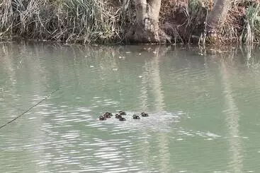 Bed and Breakfast Chambre Insolite Dans Un Chalet