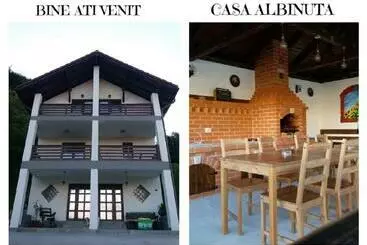 Pensionat Casa Albinuța