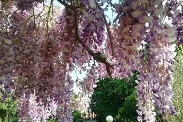 شقق خاصة سياحية La Campagna Di Rosy