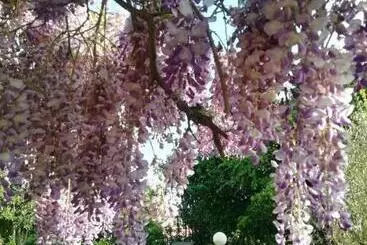 Ferienwohnungen La Campagna Di Rosy