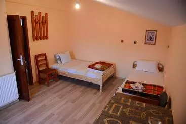 Pensionat Delieva House