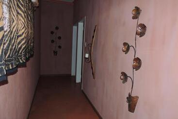 פנסיון The Big Tree Guest House