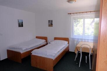 Пансион Penzion Ve Vile