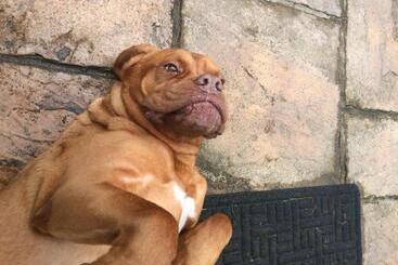 Barton Gate Farm B&b