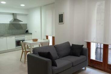 游客公寓 Ca Leudald 1 Descubre Besalú En Familia