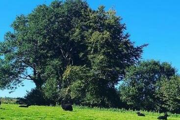 Apartamenty turystyczne Bramble Cottage On The Edge Of Exmoor