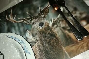 관광객 아파트 Lesse En Ciel Vous Accueille Avec Plaisir