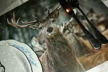 ツーリストアパートメント Lesse En Ciel Vous Accueille Avec Plaisir