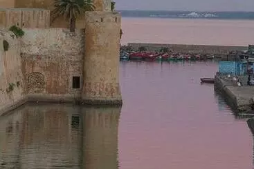 ツーリストアパートメント Riad Derb Ferrane