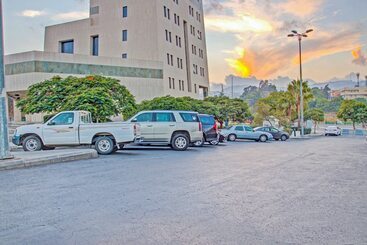 Oyo 595 Aali Residental Units