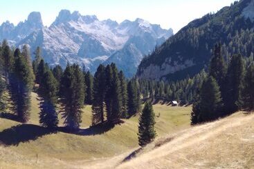 酒店 Garni Appartements Helvetia