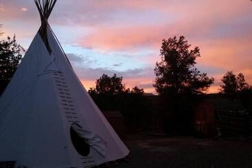 The Mountain Lion   Horses Sedona S Most Loved