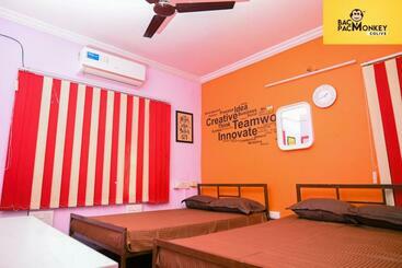 בית מלון כפרי Bacpacmonkeycolive