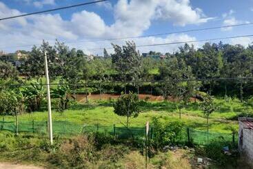 Panzió Roots And Heights