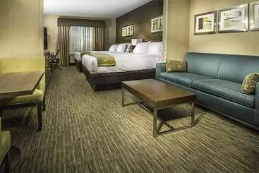 ホテル Holiday Inn Express & Suites Salt Lake City South   Murray By Ihg