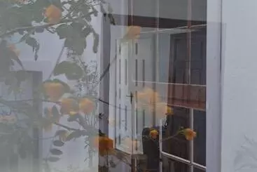 Casa De Las Flores Hotel Boutique Lanzarote