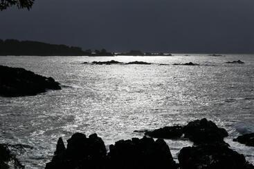 Pension Melfort Bell Guest Suites