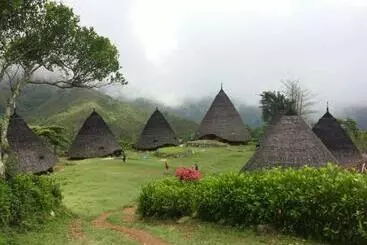 ペンション Oyo Cheapest Lodge & Kelimutukomodo Tour