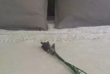 ベッドアンドブレックファースト La Vigne