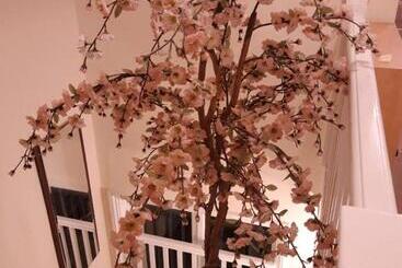 تختخواب و صبحانه Orlando S