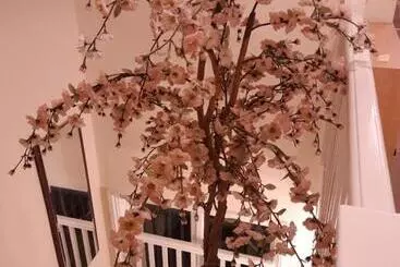 Bed and Breakfast Orlando S