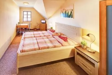 Hotelli Penzion A Restaurace U Vladaře