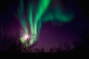 هتل Arctic Gourmet Cabin