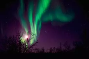 ホテル Arctic Gourmet Cabin