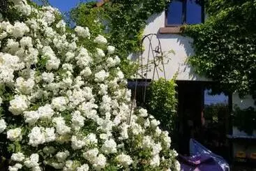 Bed and Breakfast Chambre D Hôtes De Charme, Un Temps En Forêt