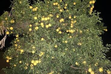 Pension Thokazi Haven Guest House & Backpacker