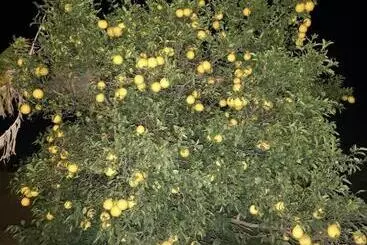 Majatalo Thokazi Haven Guest House & Backpacker