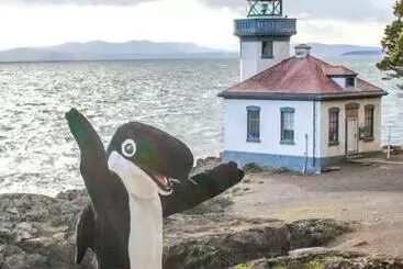 מוטל The Orca Inn