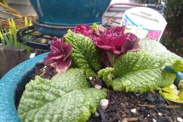 汽车旅馆  The Orca Inn