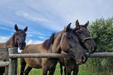 Samsara Prawdziwa Agroturystyka