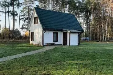 Agroturystyka żubr